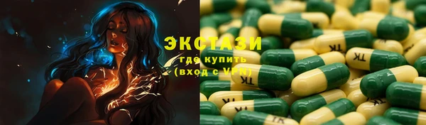 PSILOCYBIN Тайга