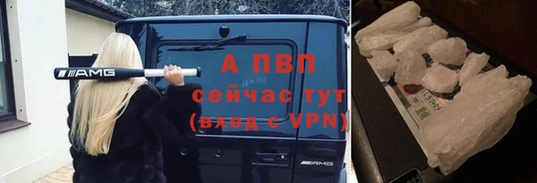 сатива Верхний Тагил