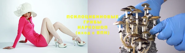 трава Бугульма