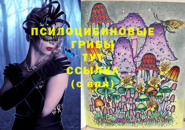альфа пвп Верхнеуральск