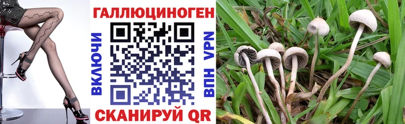 Псилоцибиновые грибы Magic Shrooms  Кимры 